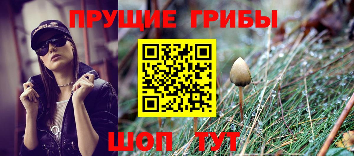 Псилоцибиновые грибы ЛСД  Вход с VPN  Прокопьевск 